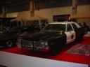 Maleo 2009