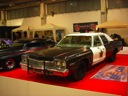Maleo 2009