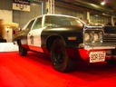 Maleo 2009