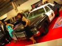 Maleo 2009