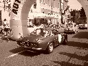 Maleo 2009