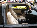 Maleo 2009