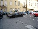 Maleo 2009