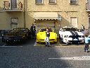 Maleo 2009