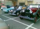 Maleo 2008