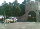 Maleo 2008